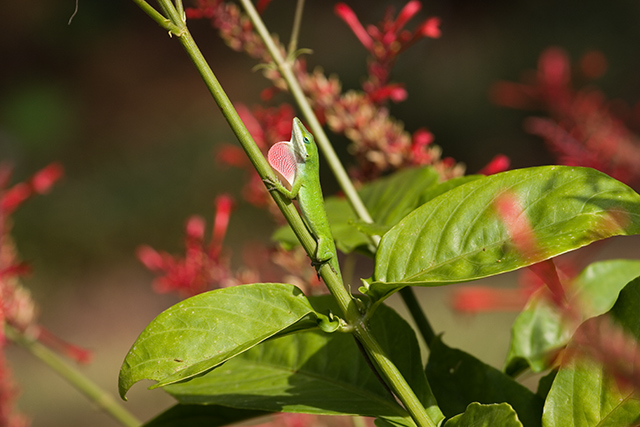 IMG_2059-raw.jpg