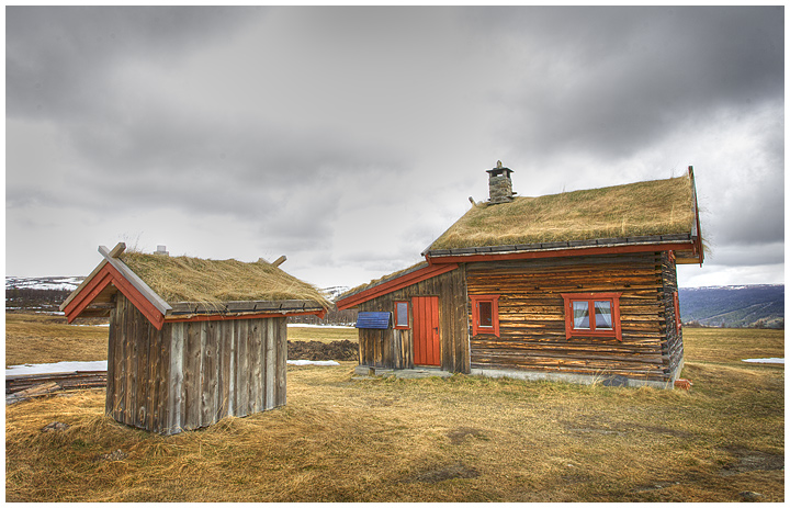 IMG_4515grass-roof.jpg