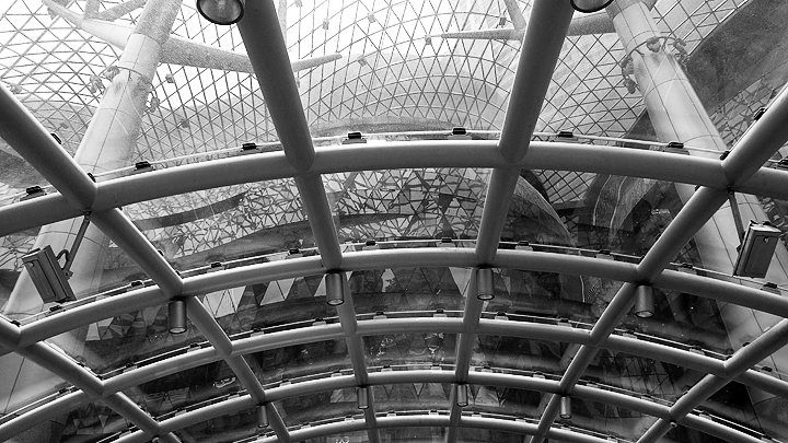 P1000596.jpg