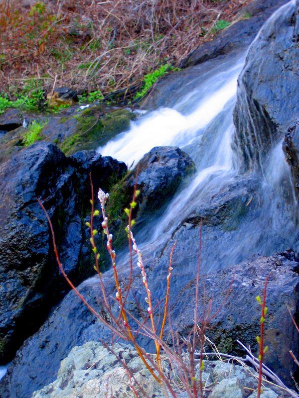 Wonderfall