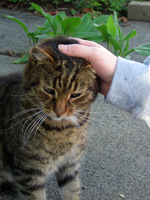 Touch