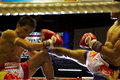 Muay Thai
