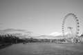 The eye on the side