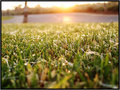 DSC08664.jpg
