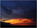 DSC10517.jpg