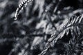 KB0_4953.jpg
