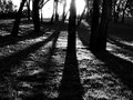 DSC09909