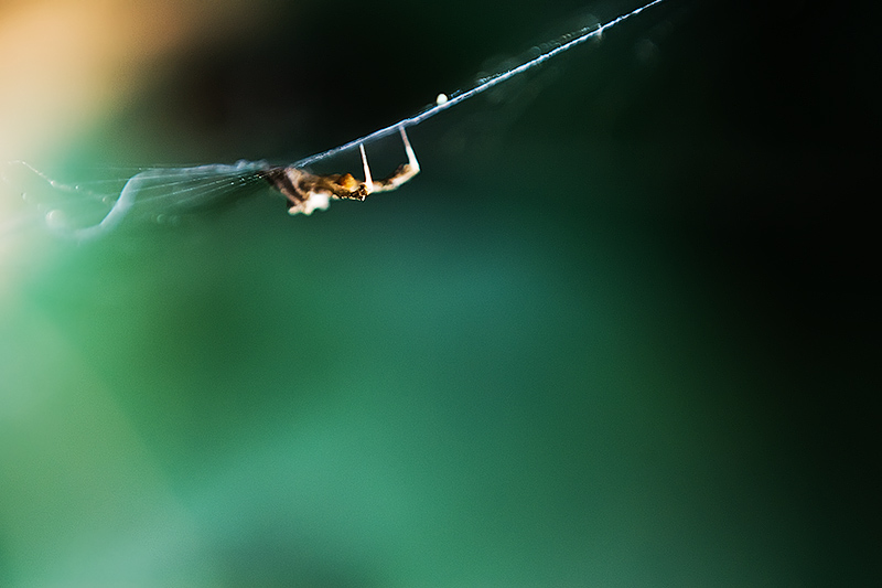 Hanging on