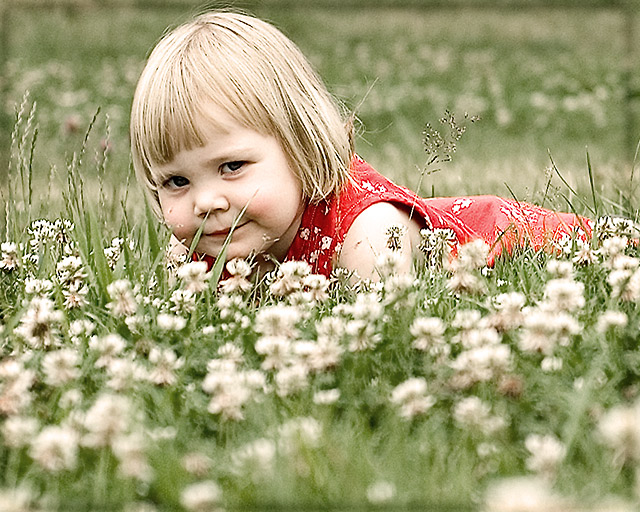 Bug in Clover