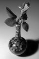 Rose B&W