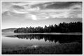 Wk_11_B&W_Lake Reflections