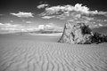 Rock Outcrop-White Sands