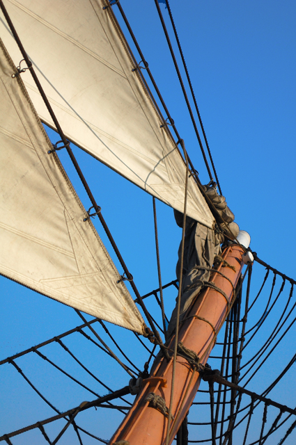 Rigging