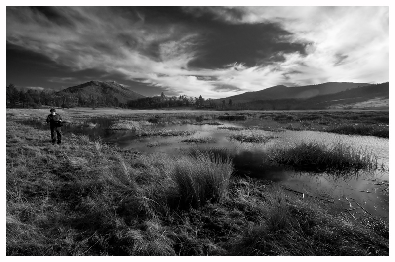 Wk_7_B&W_Cuyamaca State Park