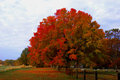 DSC_5275 S.jpg
