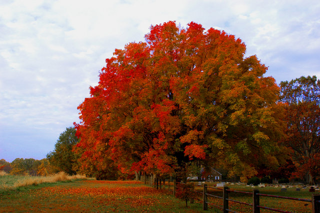 DSC_5275 S.jpg