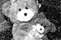 BEAR.jpg