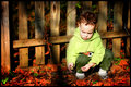 Aidan in Autumn