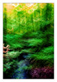 forest abstract