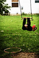 Early Morning Swing