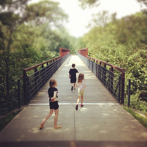 bridge