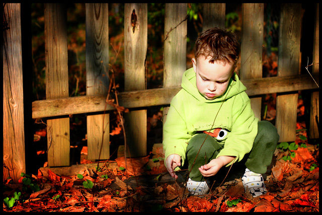 Aidan in Autumn
