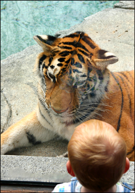 Rowan and Tiger