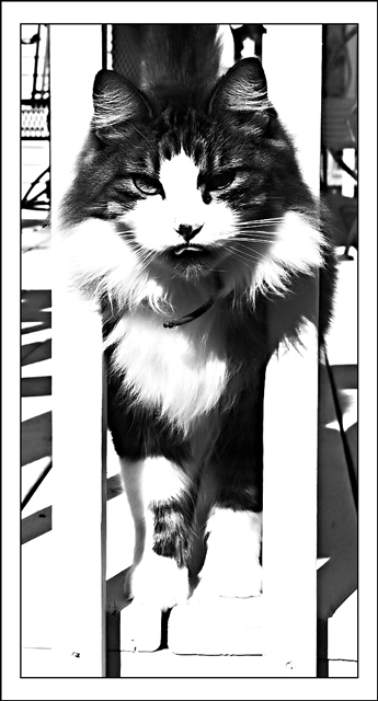Day 14