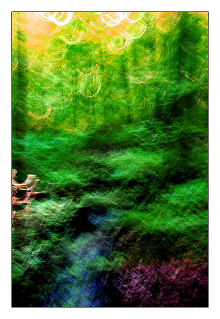 forest abstract