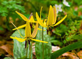 IMG_7596_edited-2.jpg