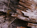 PICT0566.JPG