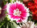 PICT0478.JPG