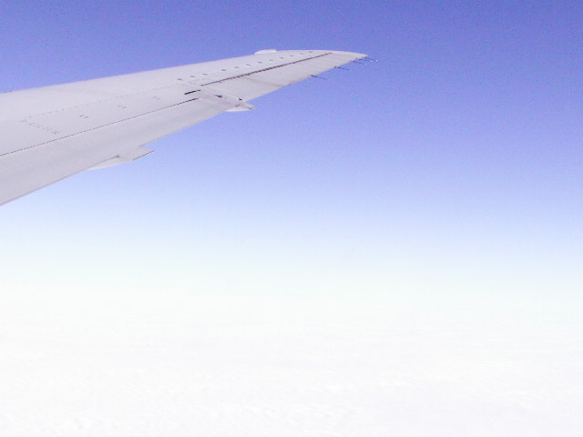 PICT0317.JPG