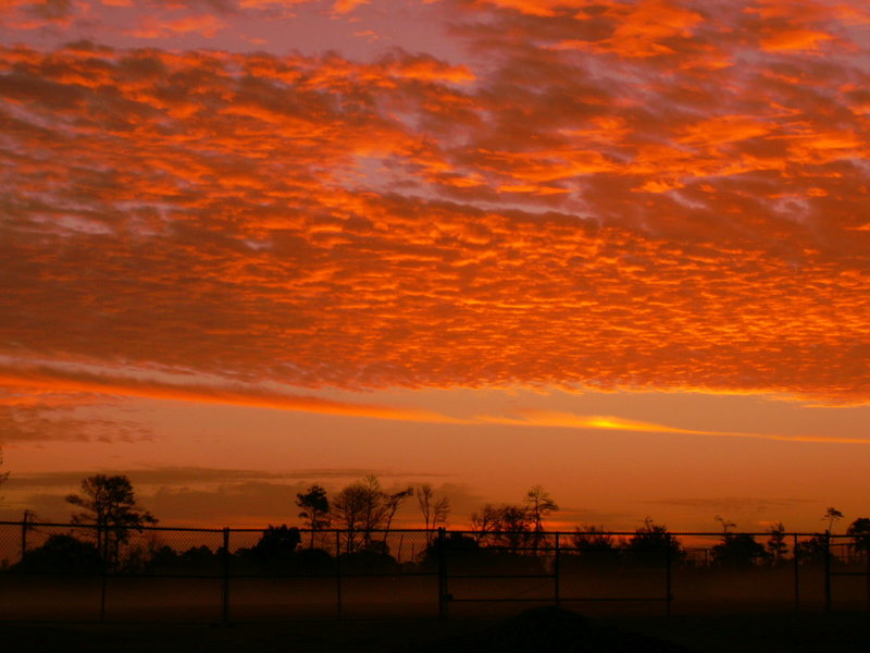 A New Day Comes