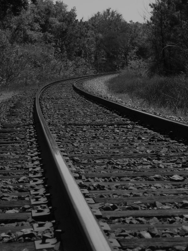 Tracks of Life