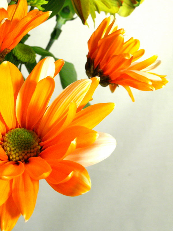 Orange  Bouquet