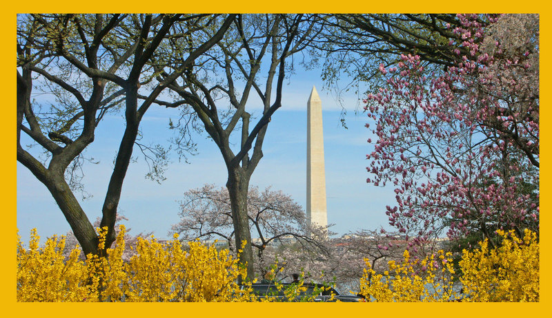 The Washington Monument.jpg