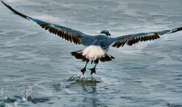 take off.JPG