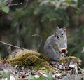 Beer_Squirrel_3327.jpg