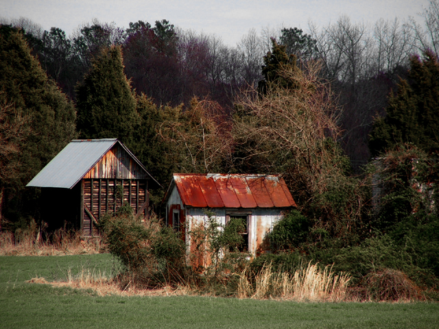 The Cabins (selective desat)