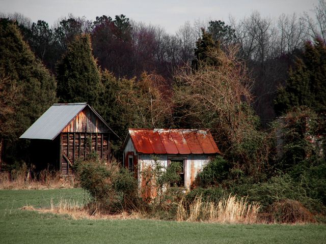 The Cabins (yanko's suggestion)