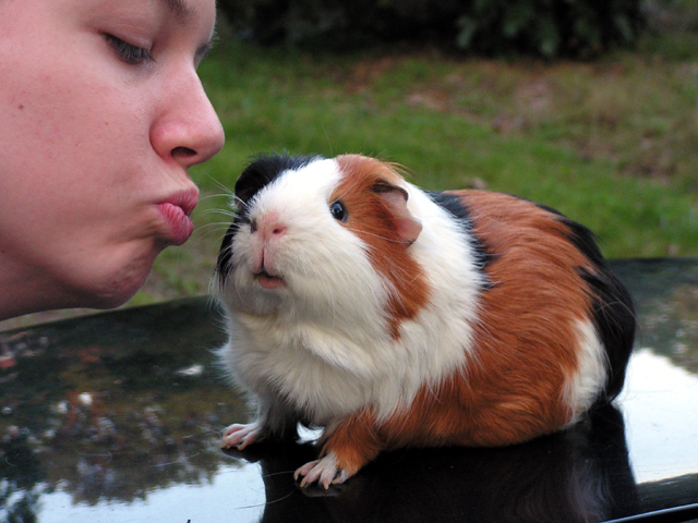 Smooches!!