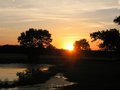 sunset - Safina Ghazi.JPEG