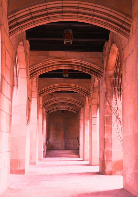cloister - Safina Ghazi