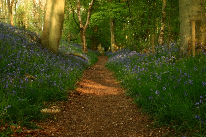 ridgeway_29.jpg