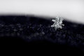 Lonley Snowflake