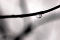 Last Drop to Fall