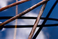 Sticks and Sky