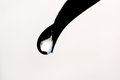 World in a Drop