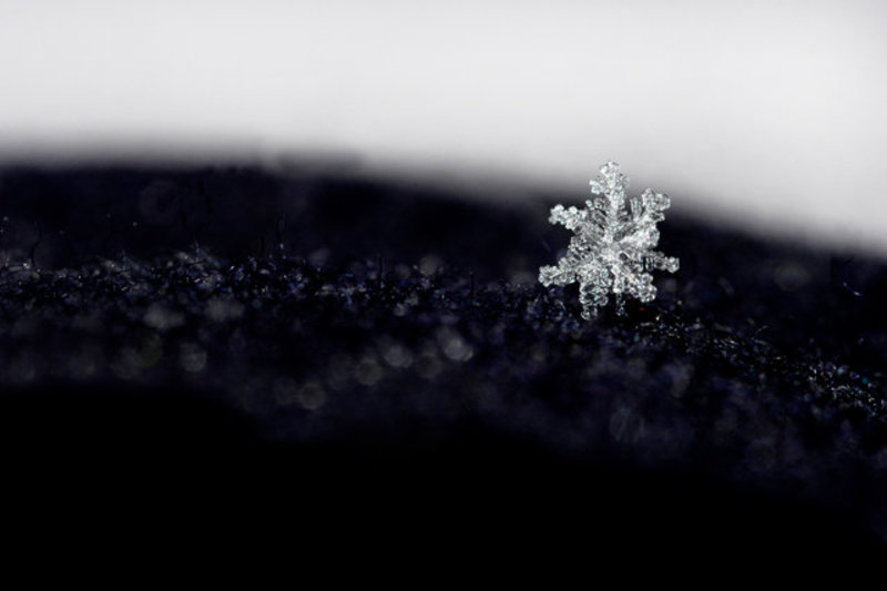 Lonley Snowflake